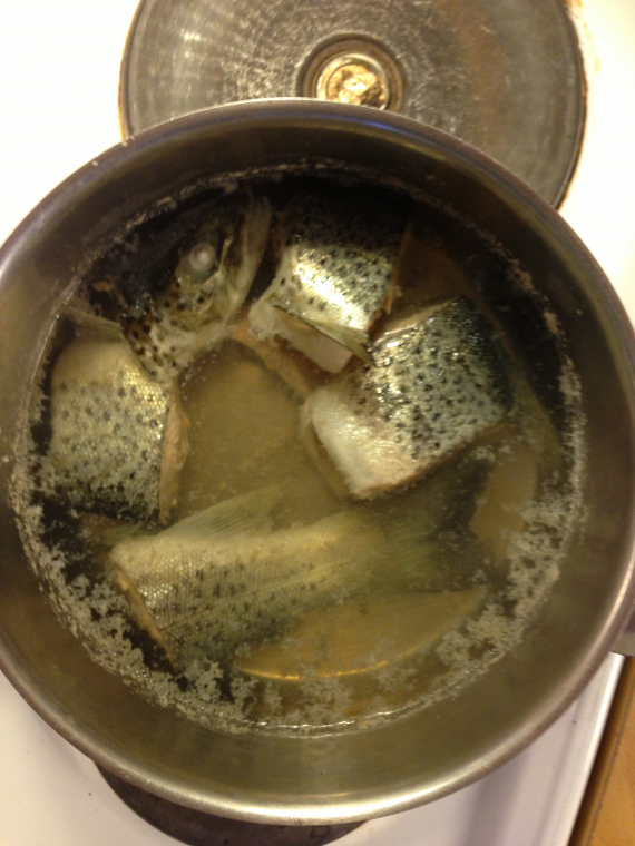 Ørret stykket opp i en kjele.