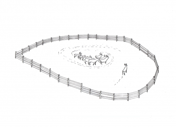 Tegning av et reingjerde med et par rein i, reingjerdet er lukket og formet som ett egg.