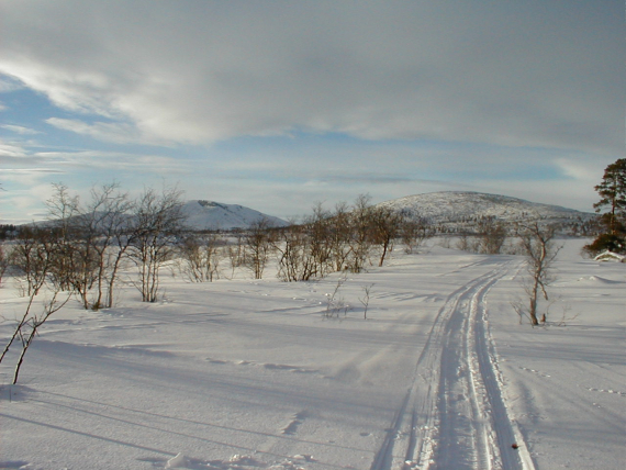 Snøskuterspor på fjellet.