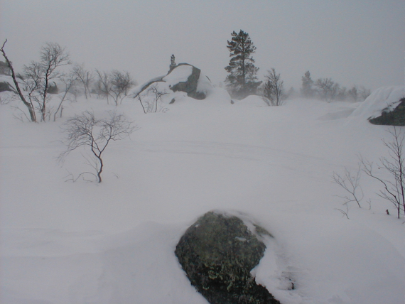 Snøfokk på fjellet. 