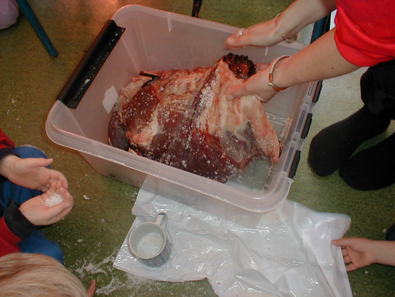 Salting av reinkjøtt. Noen plasserer kjøttet i en kasse.