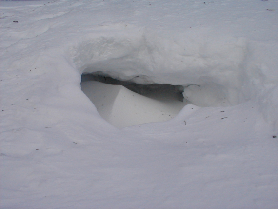 Bilde av en snøhule som har rast, det er vår.
