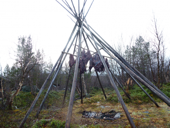 Kjøtt hengt opp i en lavvo, det skal røykes.