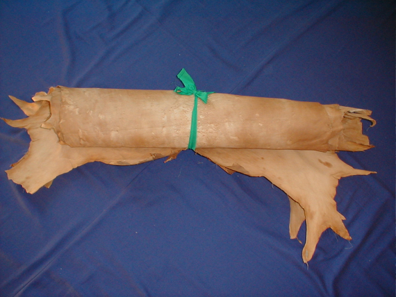 Skinn av et hjortedyr rullet sammen.