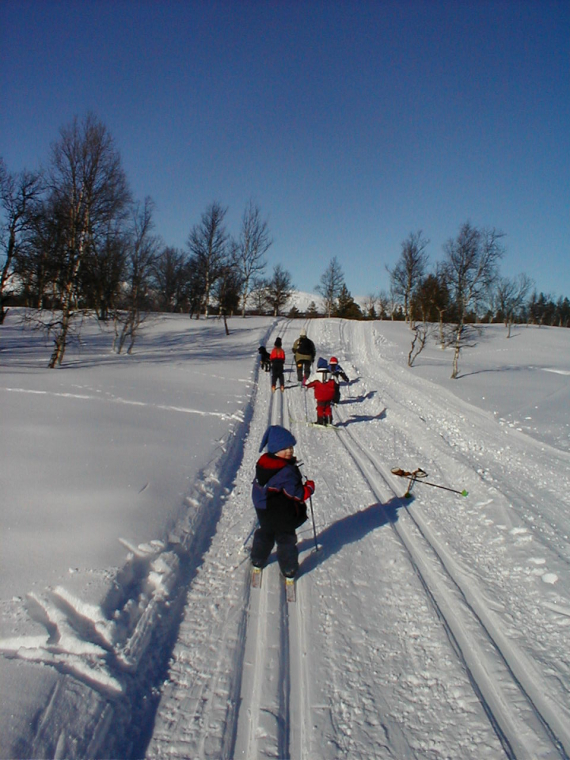 Barn som går på ski.