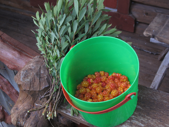 Multebær i en bøtte.