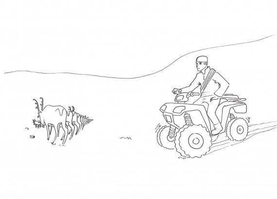 Tegning av en gutt som gjeter rein med en firehjuling.