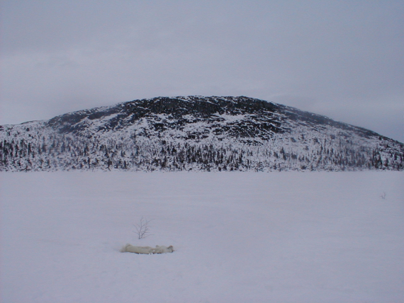 Bilde av et vann på vinteren, i bakgrunn et fjell.