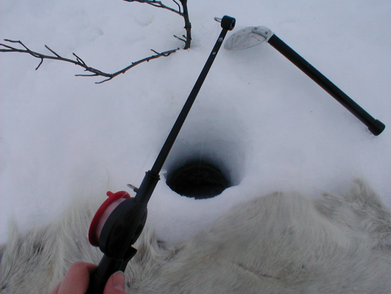 Fiske med pilk på isen.