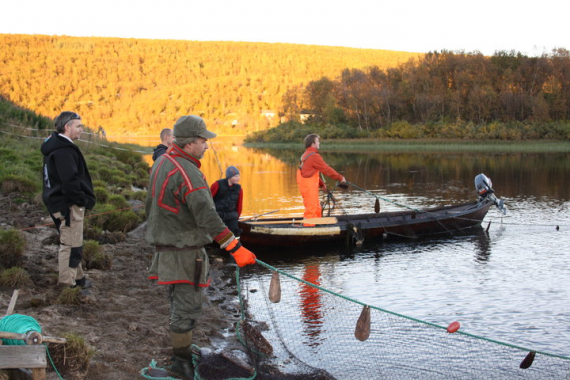 Bilde av notfiske i Ávži.