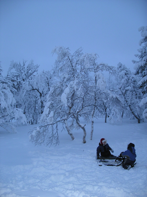 Bilde av en skog om vinteren, mye snø på trærne. To barn leker i snøen.