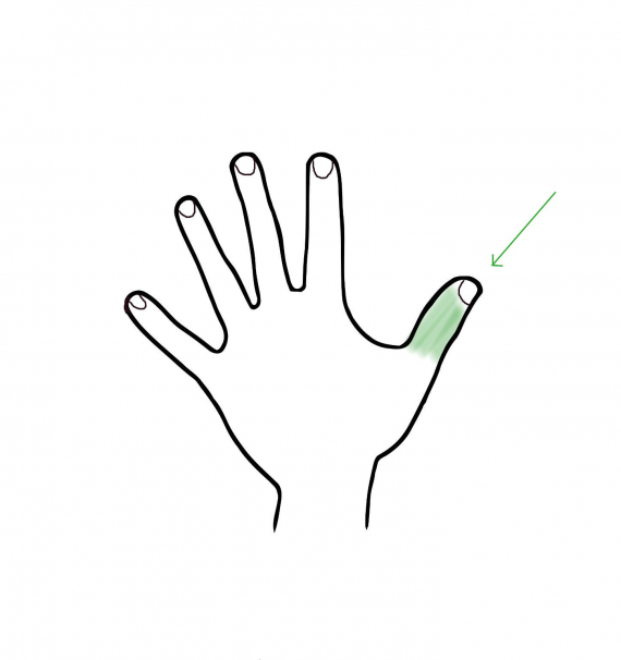 Tegning av en hånd med fokus på tommelen.