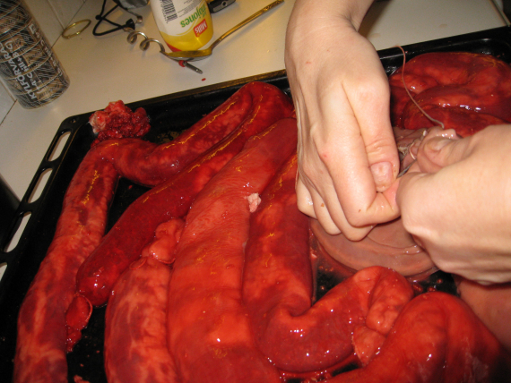 Bilde av noen som lager blodpølser.