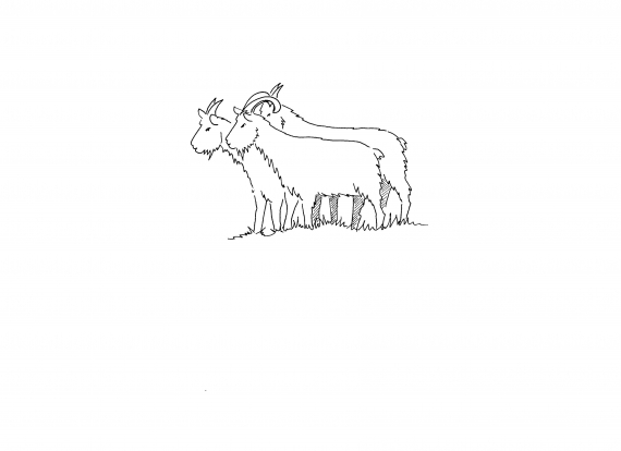 Tegnet bilde av tre geitebukker.