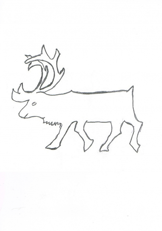 Tegning av en reinokse.