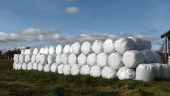 Mange rundballer med gress opp på hverandre.
