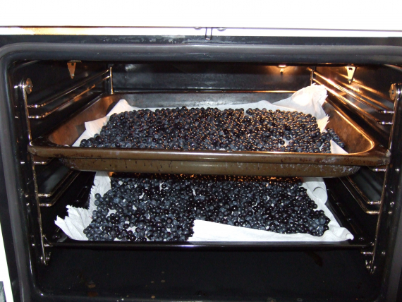 Varme opp blåbær i en stekeovn.