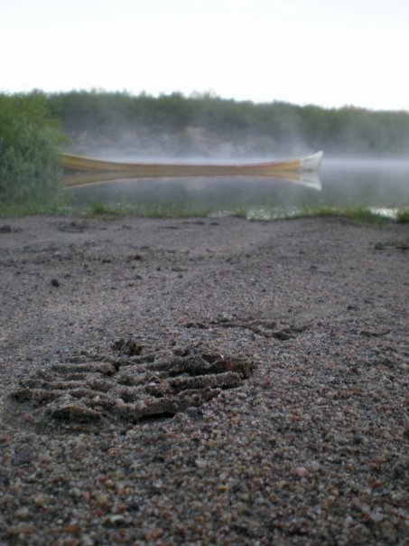 Elvebåt ankret ved land.