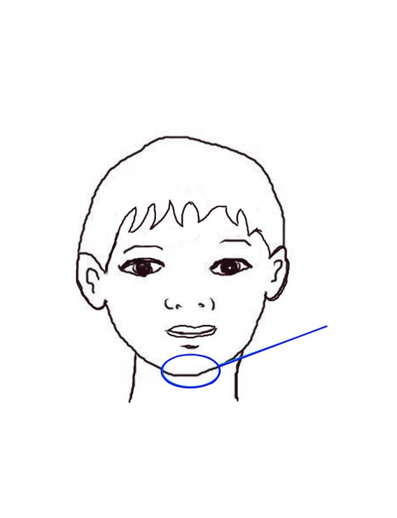 Tegning av et hode med fokus på haken.