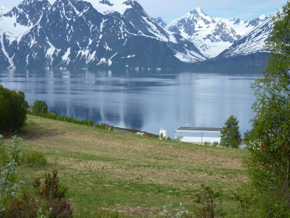Bilde av fjordlandskap med snødekte fjelltoppert.