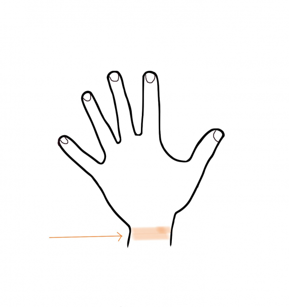 Tegning av et håndledd.