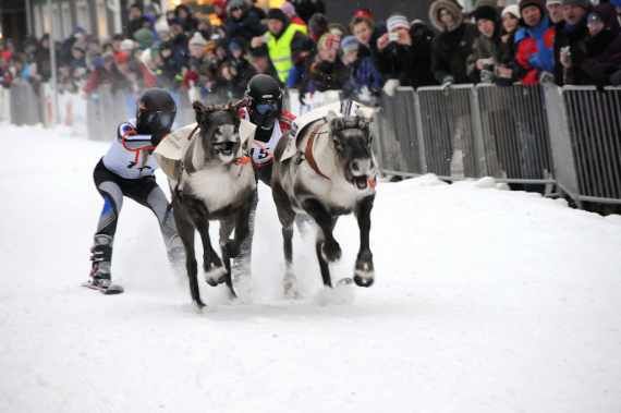Bilde av reinkappkjøring i Tromsø.