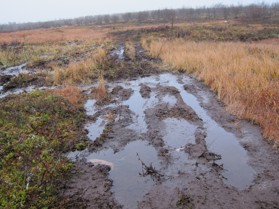 Kjørespor etter ATV på vidda.