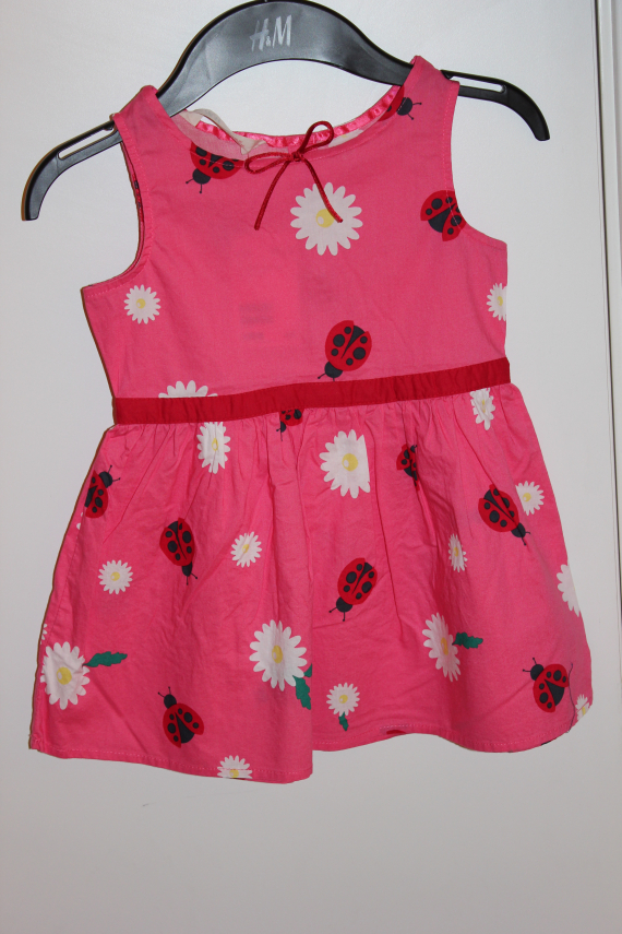 Nærbilde av en rosa kjøle.