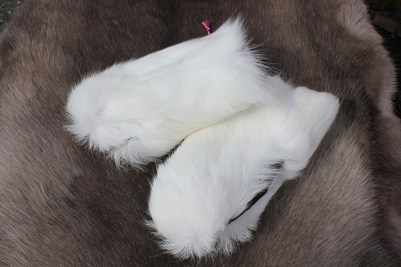 Foto av hvite reinskinnvåtter.