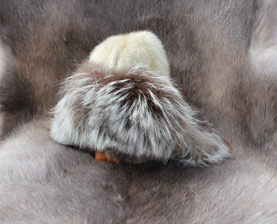 Skinnlue av selskinn og sølvrev.