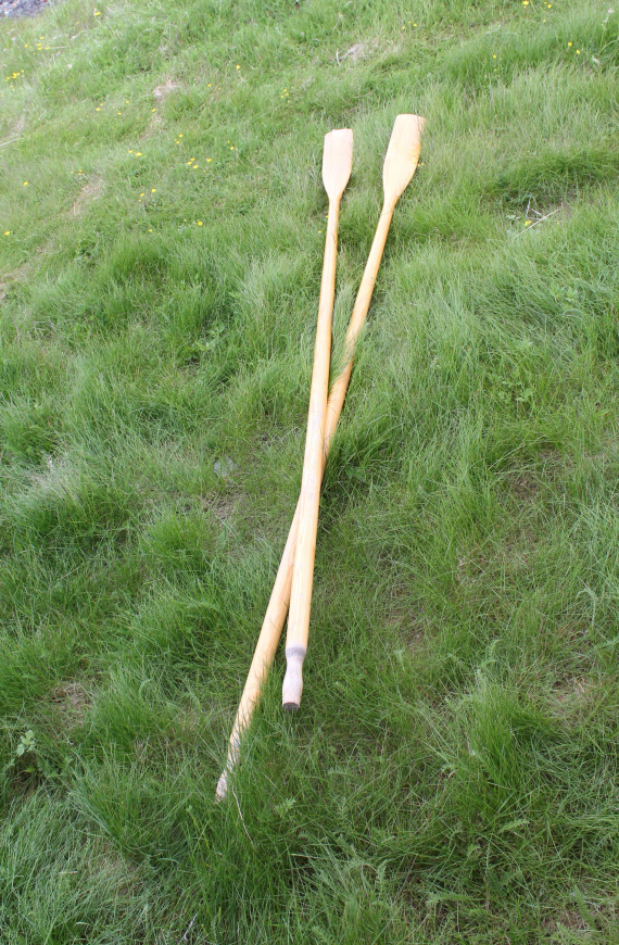 Foto av årer i hagen.