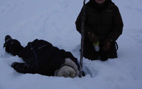 Lete etter čulggon under isen.