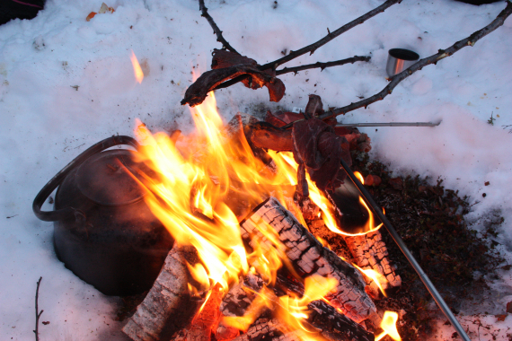 Steke kjøtt på bålet.