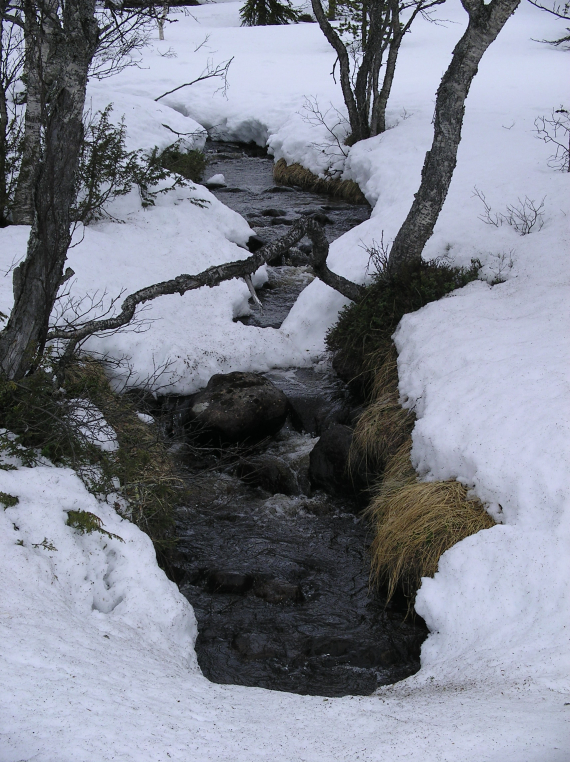 En bekk i vårlige omgivelser.