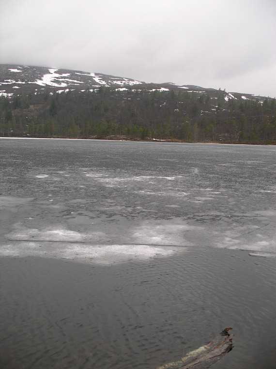 Bilde av en innsjø om våren, dårlig is.