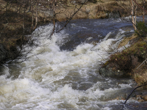 Bilde av en bekk om våren.