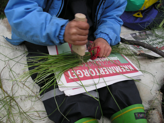 Noen arbeider med sennagrgess.