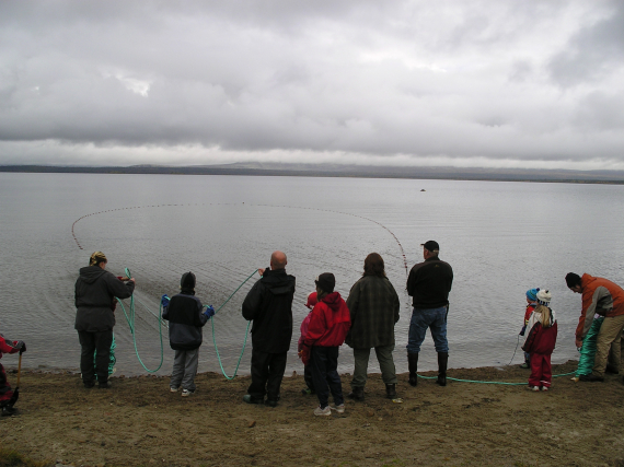 Bilde av folk som trekker not.