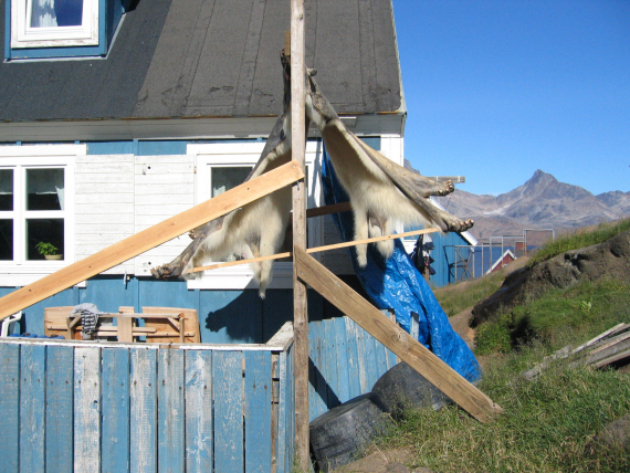 Bilde av et blått hus.