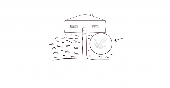 Tegning av et hus med plen med fokus på gresset.