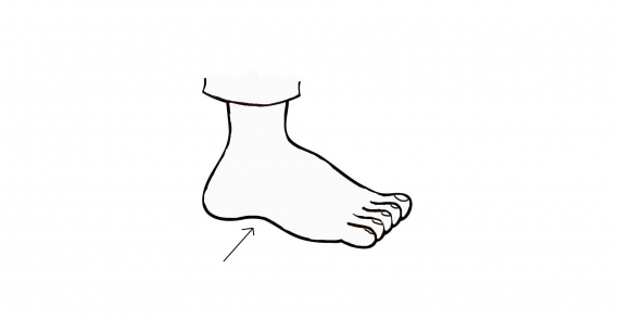 Tegning av en fot med fokus på fotbladet.