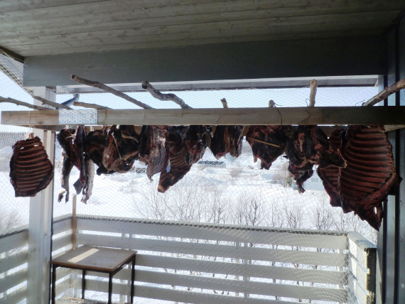 Reinkjøtt som er hengt opp til tørk.