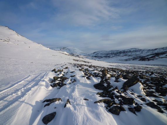 Vårbilde av viddelandskap.