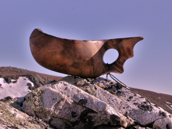 Guksi plassert på en stein og fotografert mot himmelen.