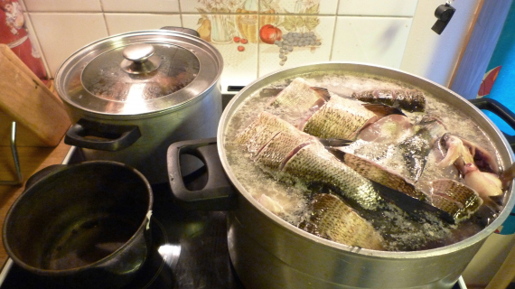 Foto av sik som koker i kjele.