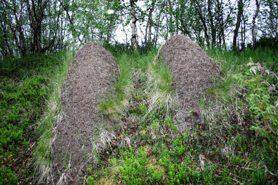 To maurtuer ved siden av hverandre.