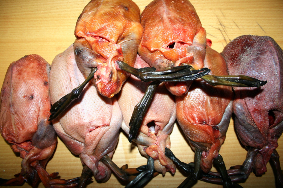 Ender klargjort til koking.