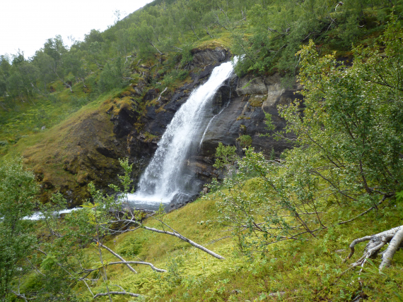 Større foss i sommerlandskap. 