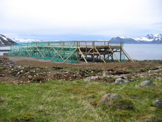 Foto av fiskehjell ved sjøen.