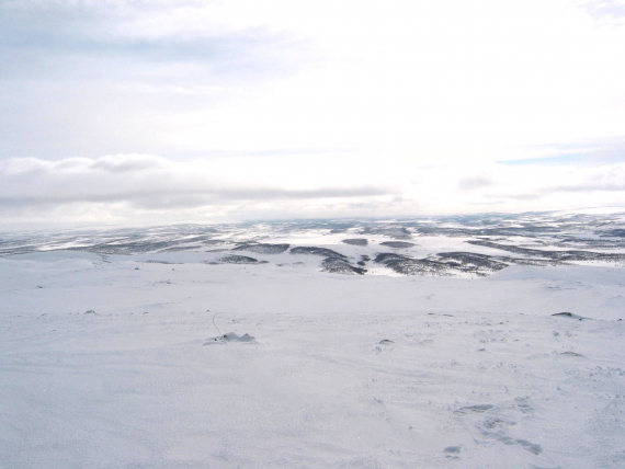 Viddelandskap om vårvinteren.